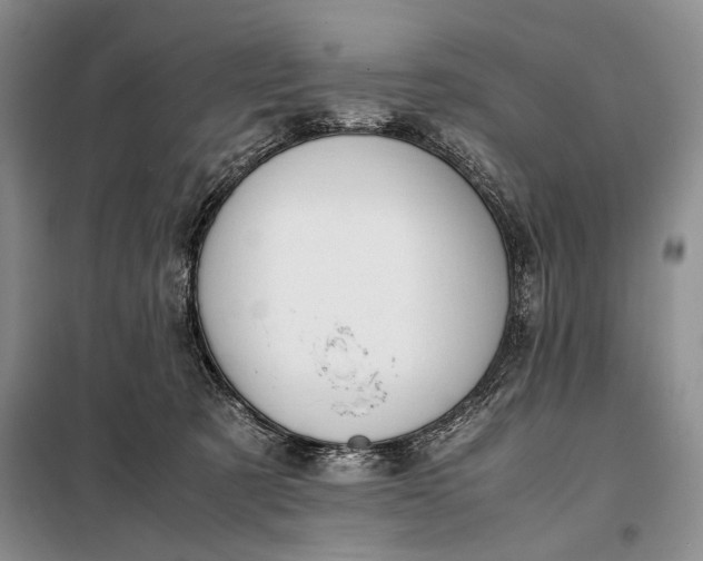 X0000098120321200804181527