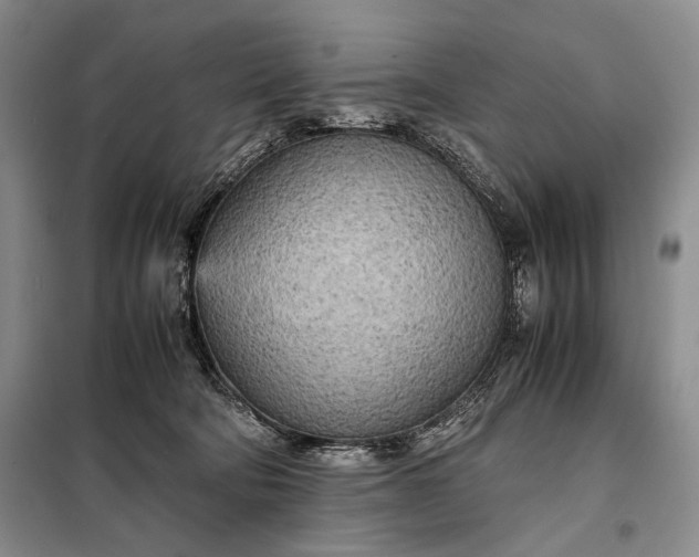 X0000098120322200804181527