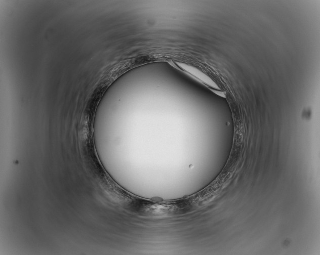 X0000098120323200804181527