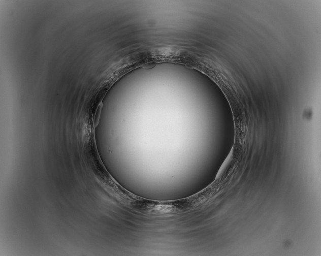 X0000098120324200804181527