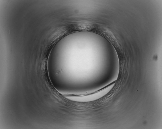 X0000098120325200804181527