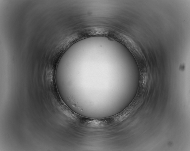 X0000098120326200804181527