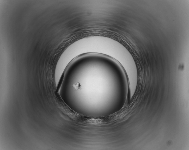 X0000098120328200804181527