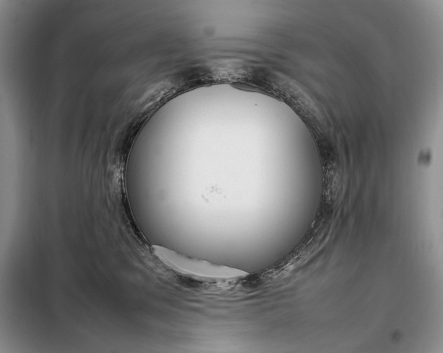 X0000098120329200804181527