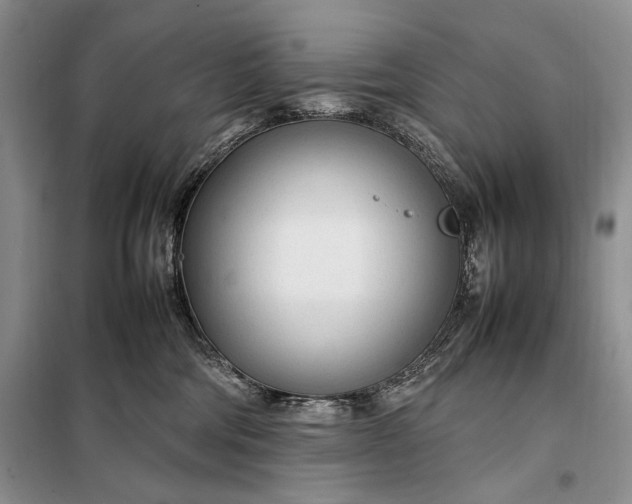X0000098120330200804181527
