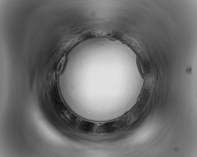 X0000098120335200804181527