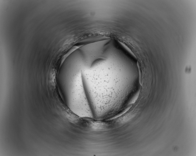 X0000098120336200804181527