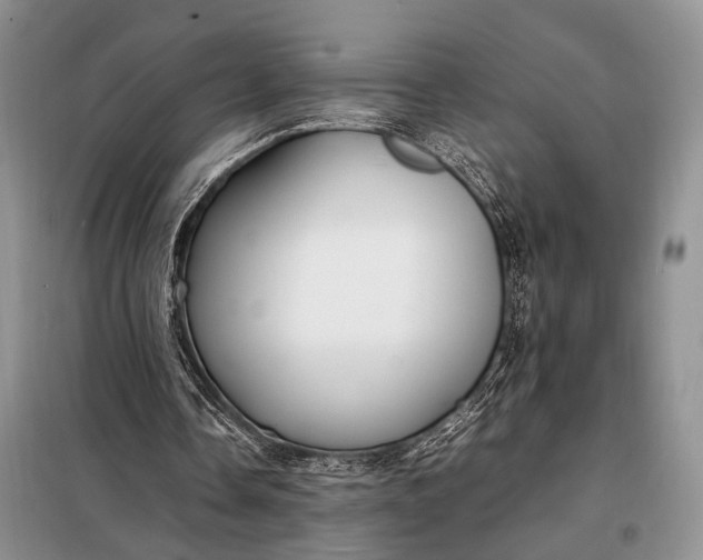 X0000098120338200804181526