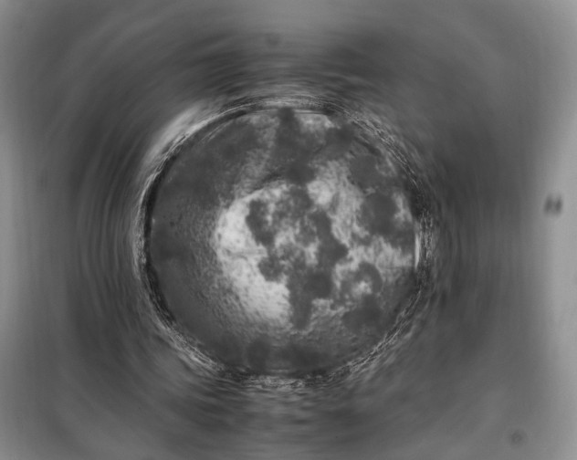 X0000098120339200804181526