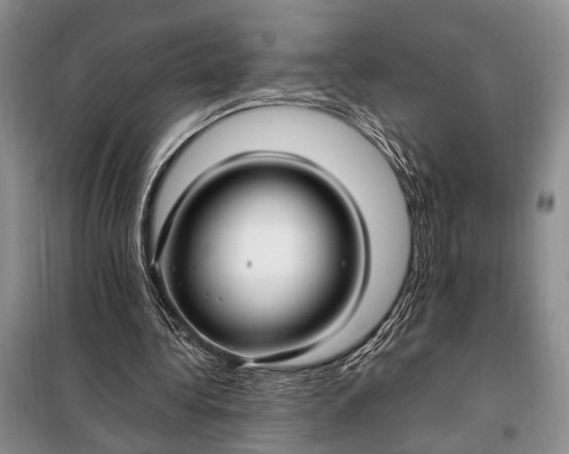 X0000098120340200804181526