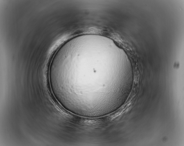 X0000098120341200804181526