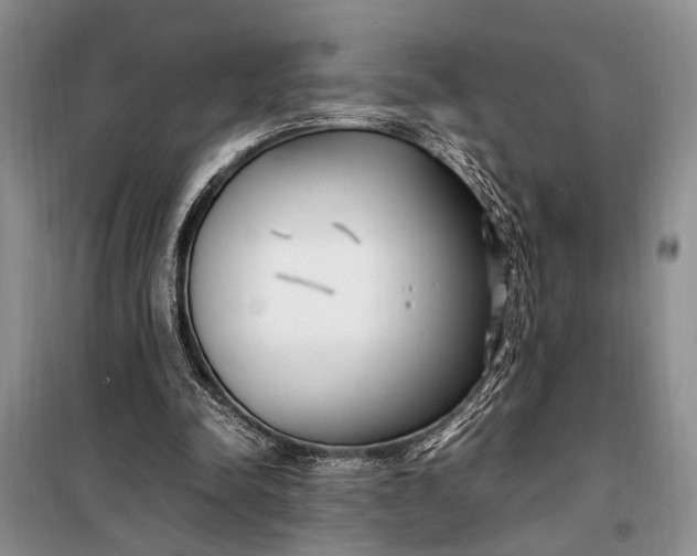 X0000098120342200804181526