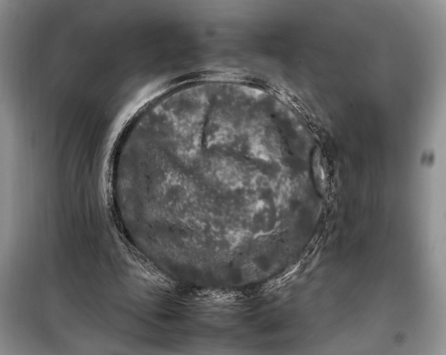 X0000098120343200804181526