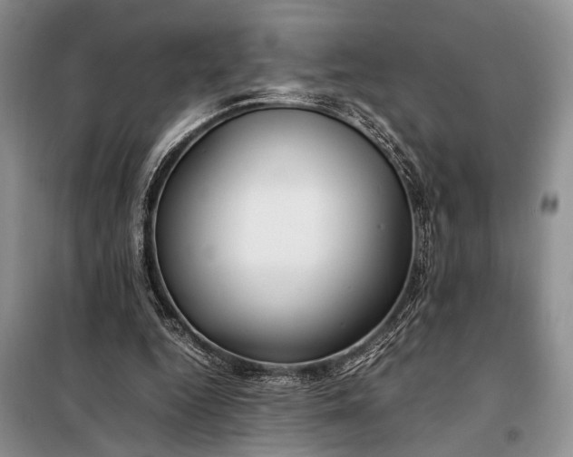 X0000098120344200804181526