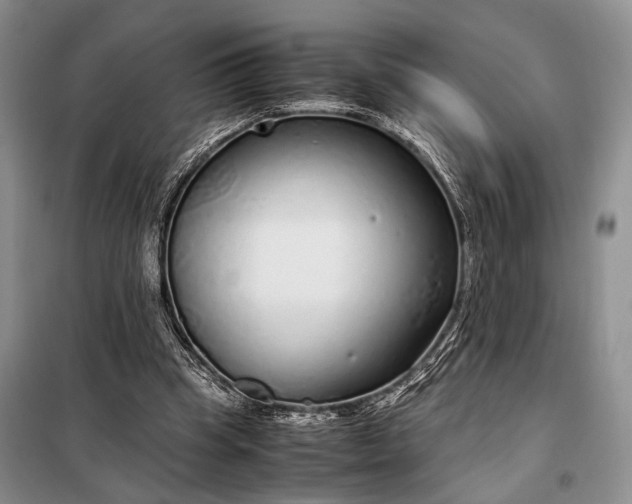 X0000098120345200804181526