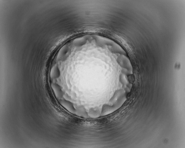 X0000098120346200804181526