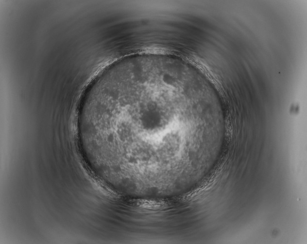 X0000098120347200804181526