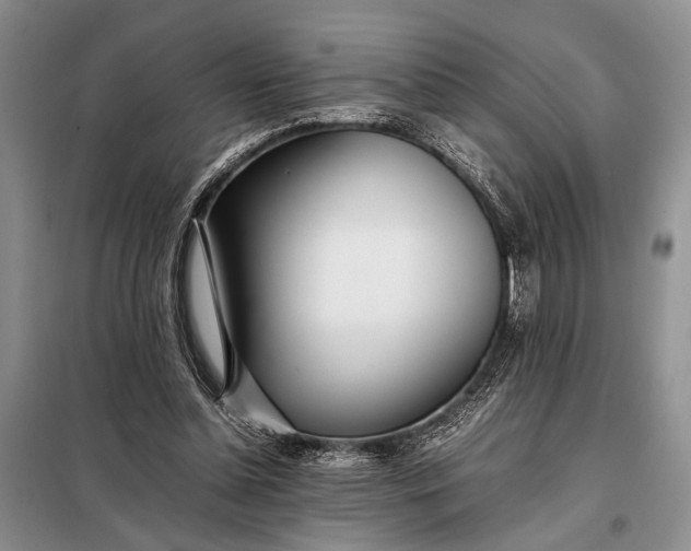X0000098120348200804181526