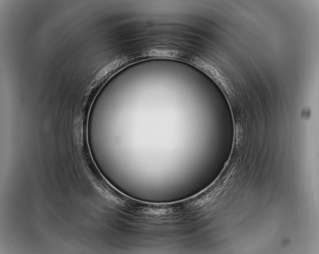 X0000098120349200804181526