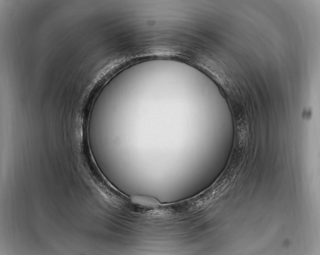 X0000098120350200804181526