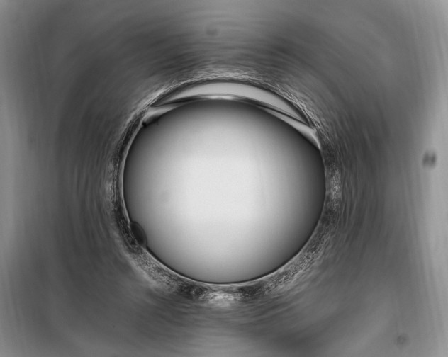 X0000098120352200804181526