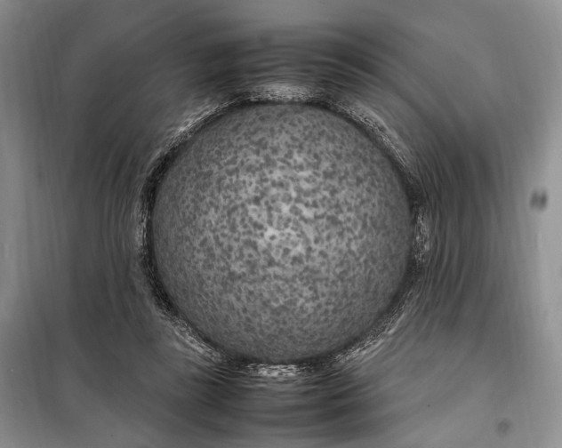 X0000098120355200804181527