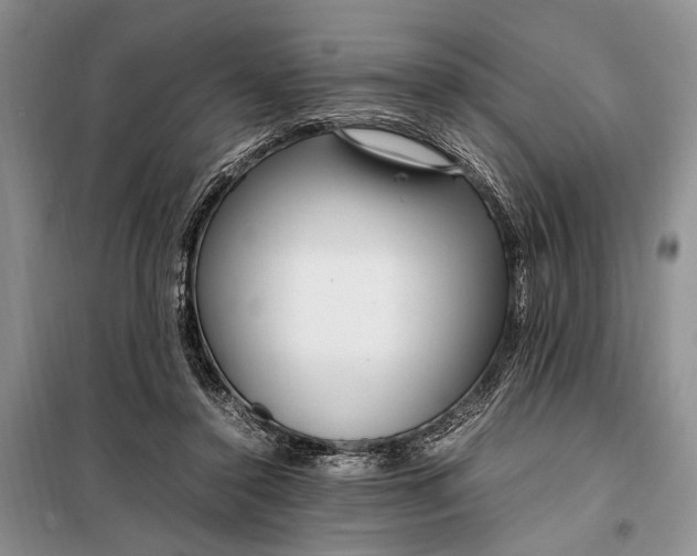 X0000098120356200804181527
