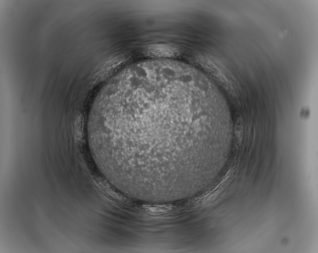 X0000098120359200804181527