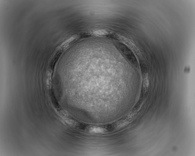 X0000098120360200804181527