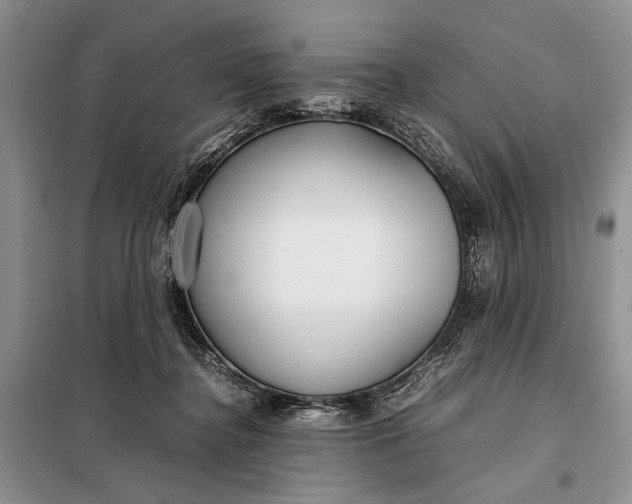 X0000098120364200804181527