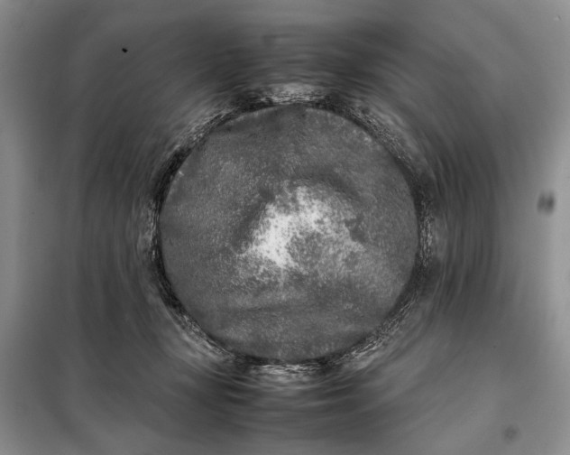 X0000098120367200804181527