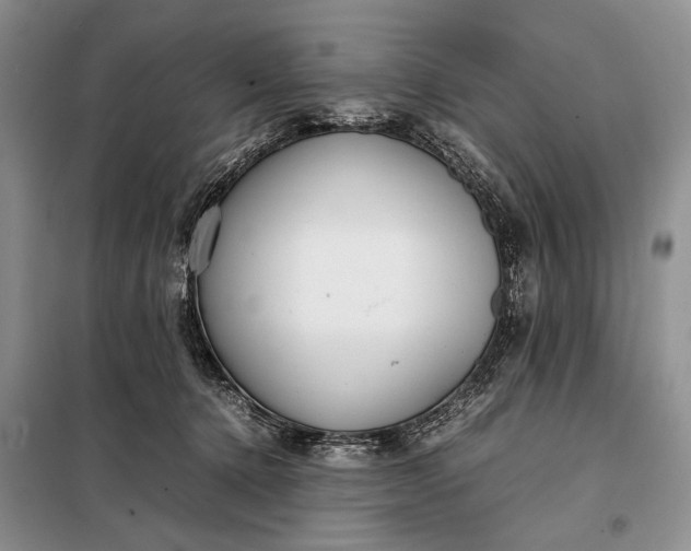 X0000098120368200804181527