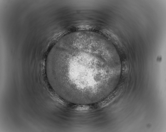 X0000098120369200804181527