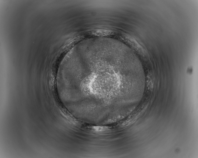 X0000098120371200804181527