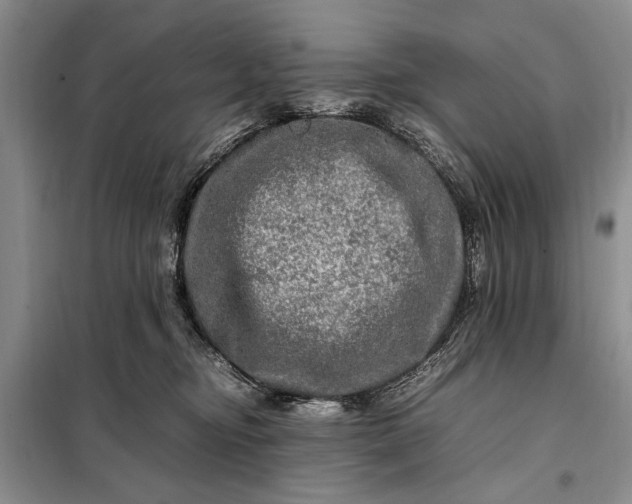 X0000098120374200804181527