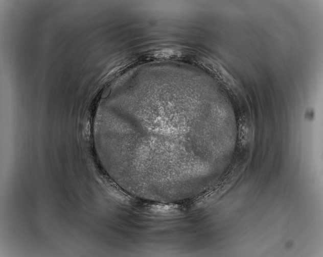 X0000098120375200804181527