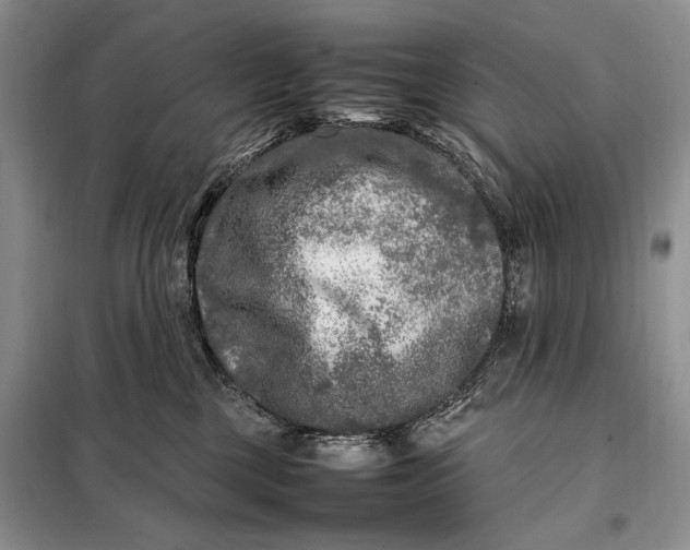 X0000098120377200804181527