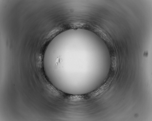 X0000098120378200804181527
