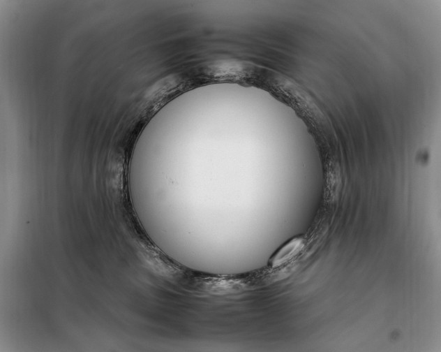 X0000098120379200804181527