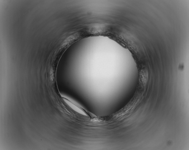 X0000098120380200804181527