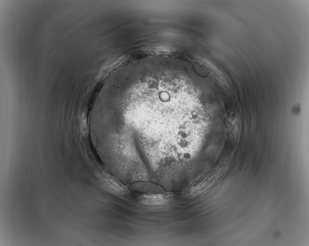 X0000098120381200804181527