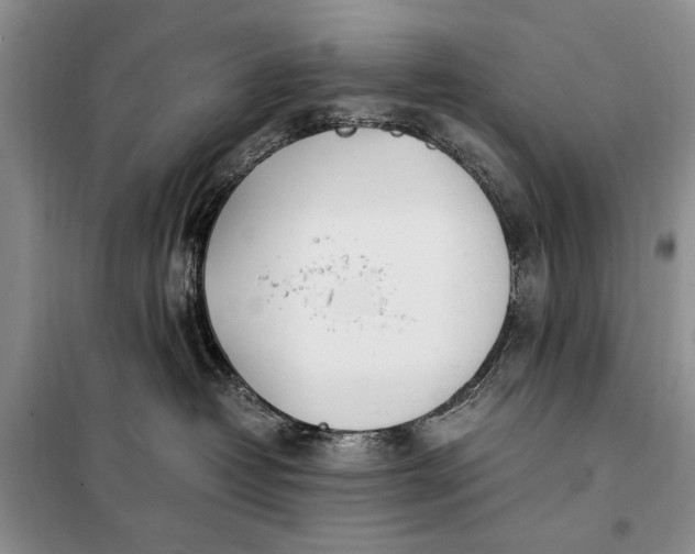 X0000098120382200804181527
