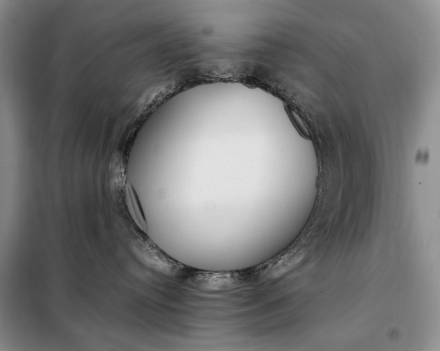 X0000098120384200804181527