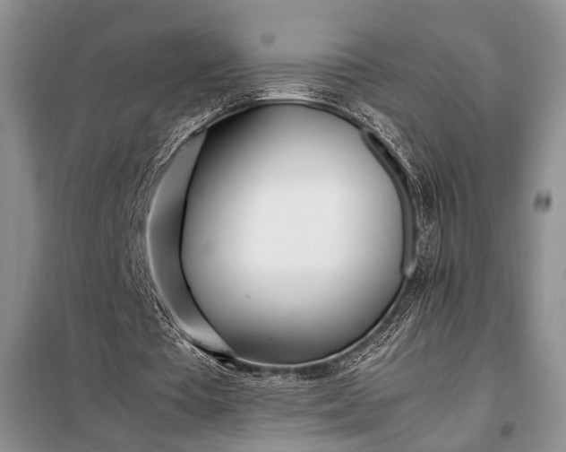 X0000098120385200804181526