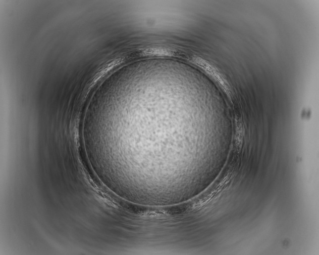 X0000098120386200804181526