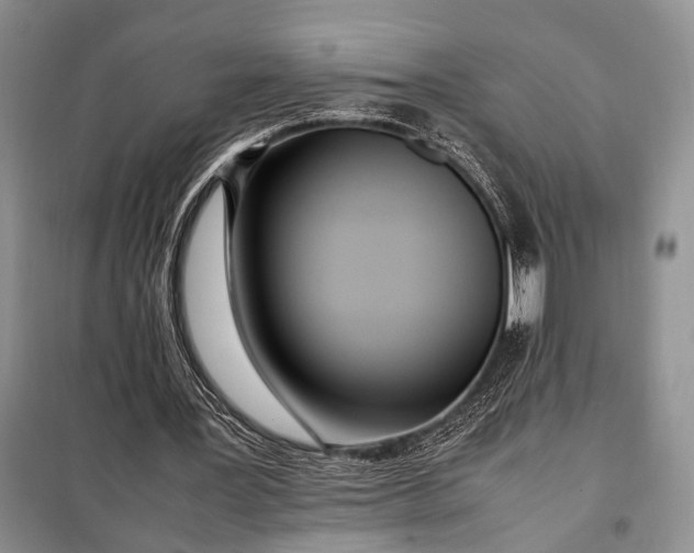 X0000098120387200804181526