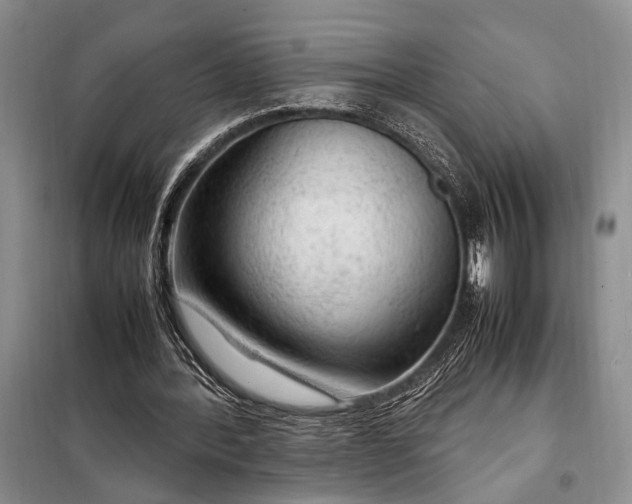 X0000098120388200804181526