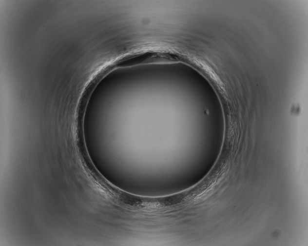 X0000098120391200804181526