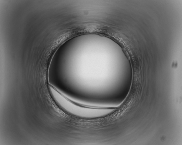 X0000098120393200804181526