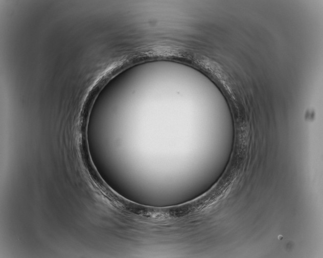 X0000098120395200804181526